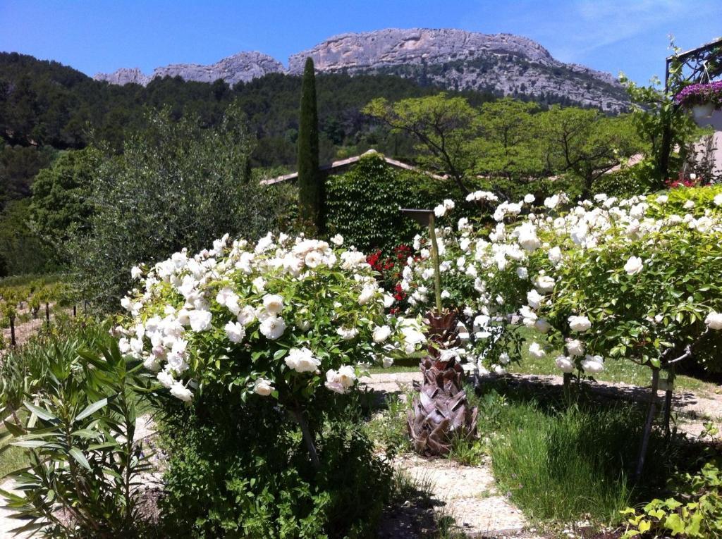Le Grand Jardin Bed and Breakfast Lafare Exterior foto