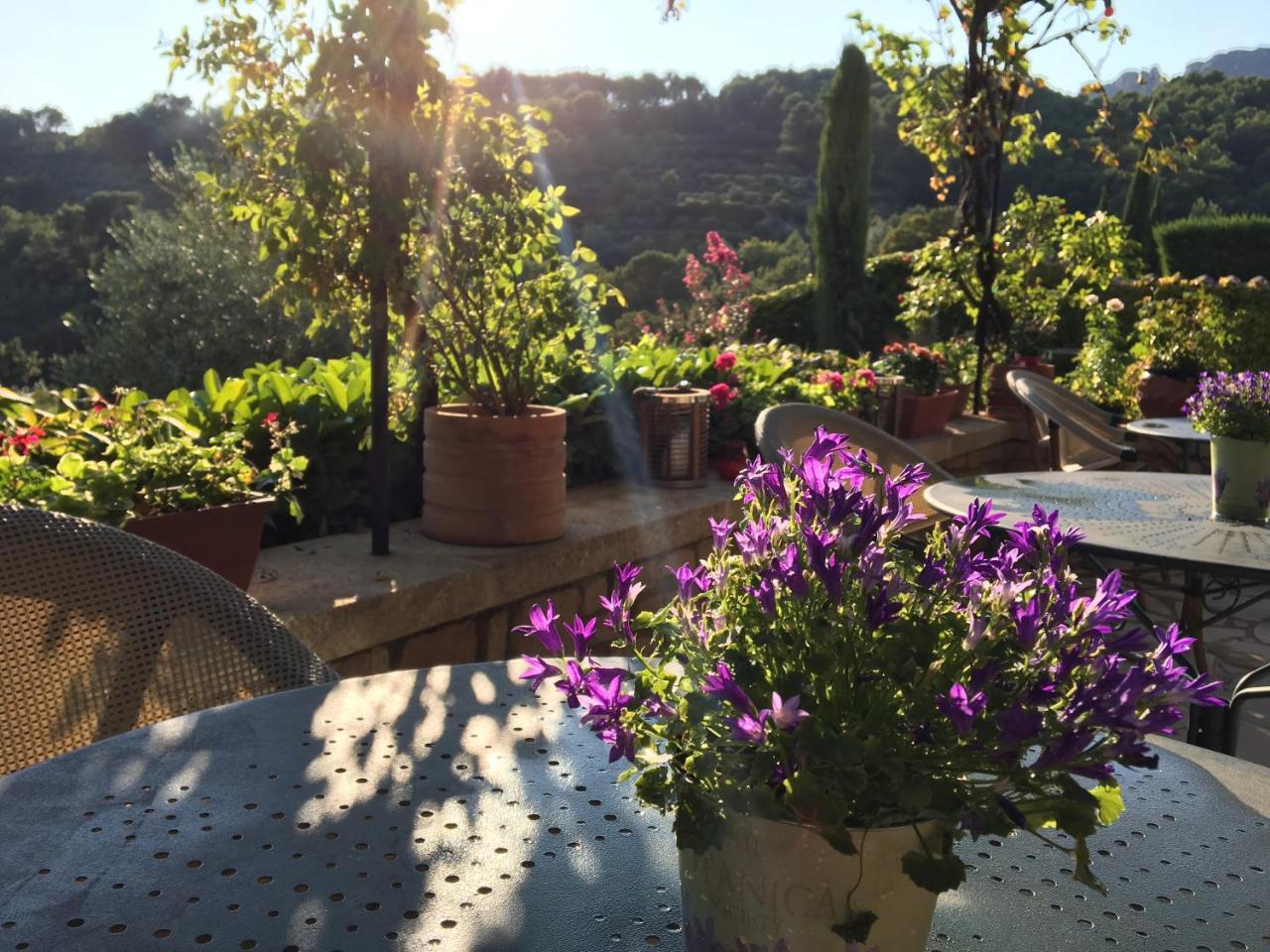 Le Grand Jardin Bed and Breakfast Lafare Exterior foto