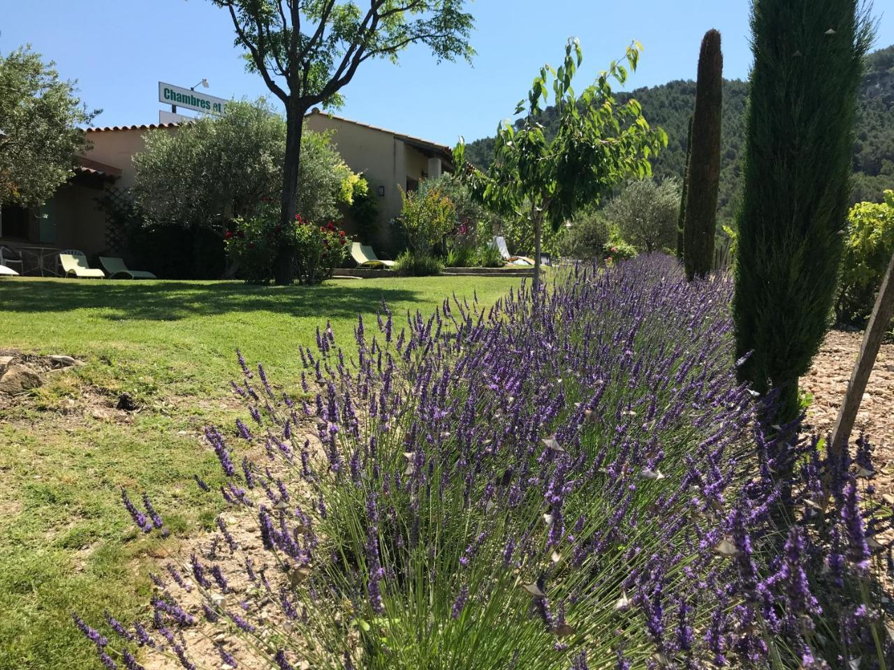 Le Grand Jardin Bed and Breakfast Lafare Exterior foto