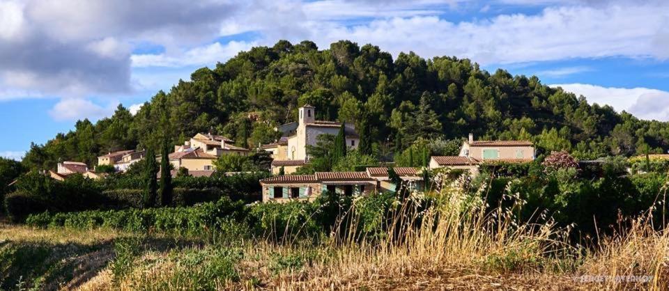 Le Grand Jardin Bed and Breakfast Lafare Exterior foto